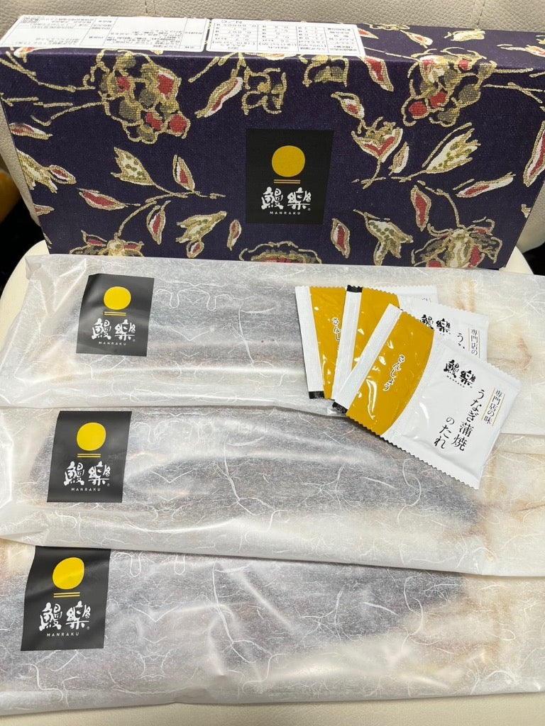 ふるさと納税 宮崎市 国産　うなぎ蒲焼3尾(計510g)