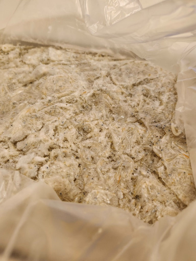 ふるさと納税 南知多町 カネ成の釜揚げしらす 2kg(1kg×2箱) 減塩 無添加 無着色 冷凍