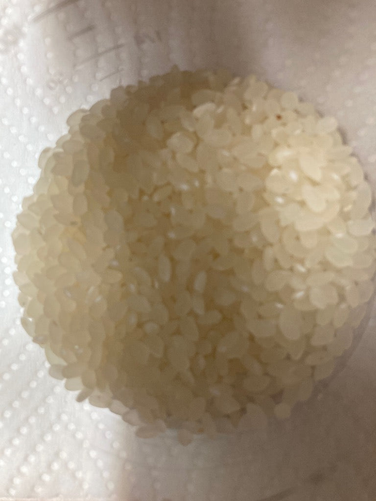 福島県産ひとめぼれ 白米 5kg(5kg×1袋) 令和7年産 送料無料 米 5kg お米 5kg お試し (沖縄・離島 別途送料+1100円)
