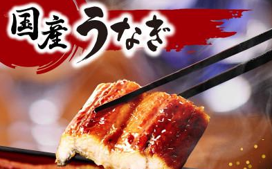ふるさと納税 宮崎市 国産　うなぎ蒲焼3尾(計510g)