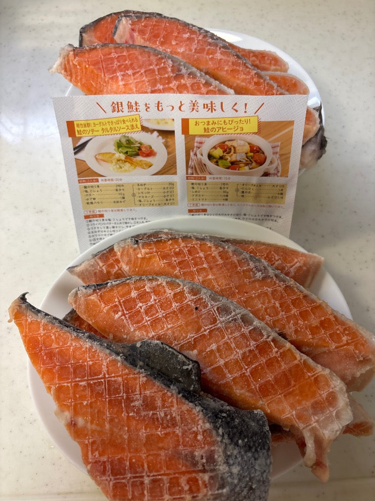 泉佐野市 銀鮭切身 2kg(約18切れ)訳あり 規格外 サーモン kgp0009a