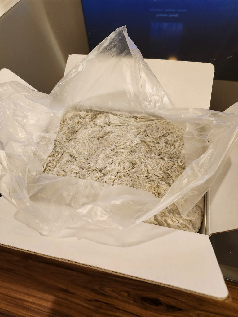 ふるさと納税 南知多町 カネ成の釜揚げしらす 2kg(1kg×2箱) 減塩 無添加 無着色 冷凍