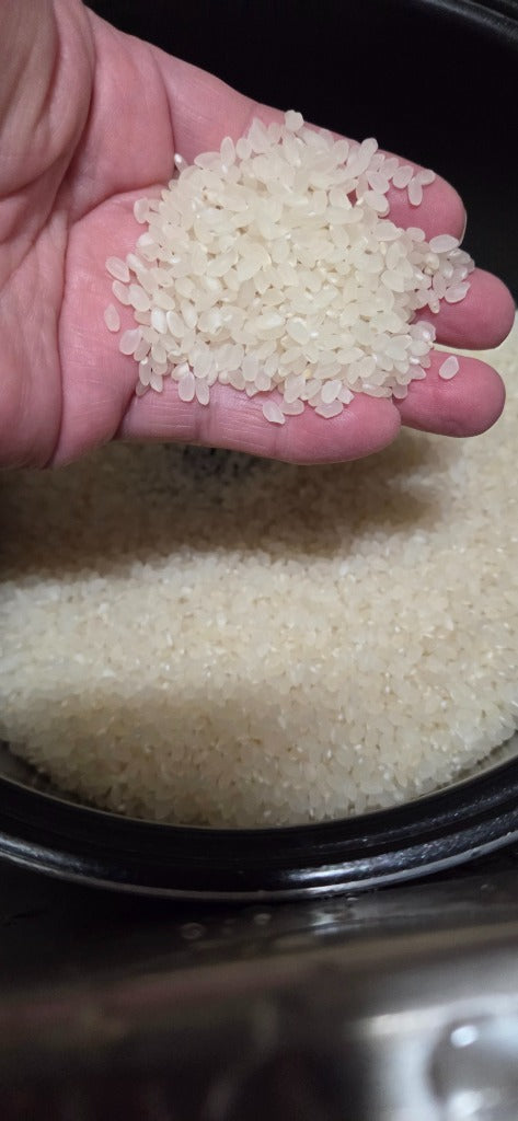 福島県産ひとめぼれ 白米 5kg(5kg×1袋) 令和7年産 送料無料 米 5kg お米 5kg お試し (沖縄・離島 別途送料+1100円)