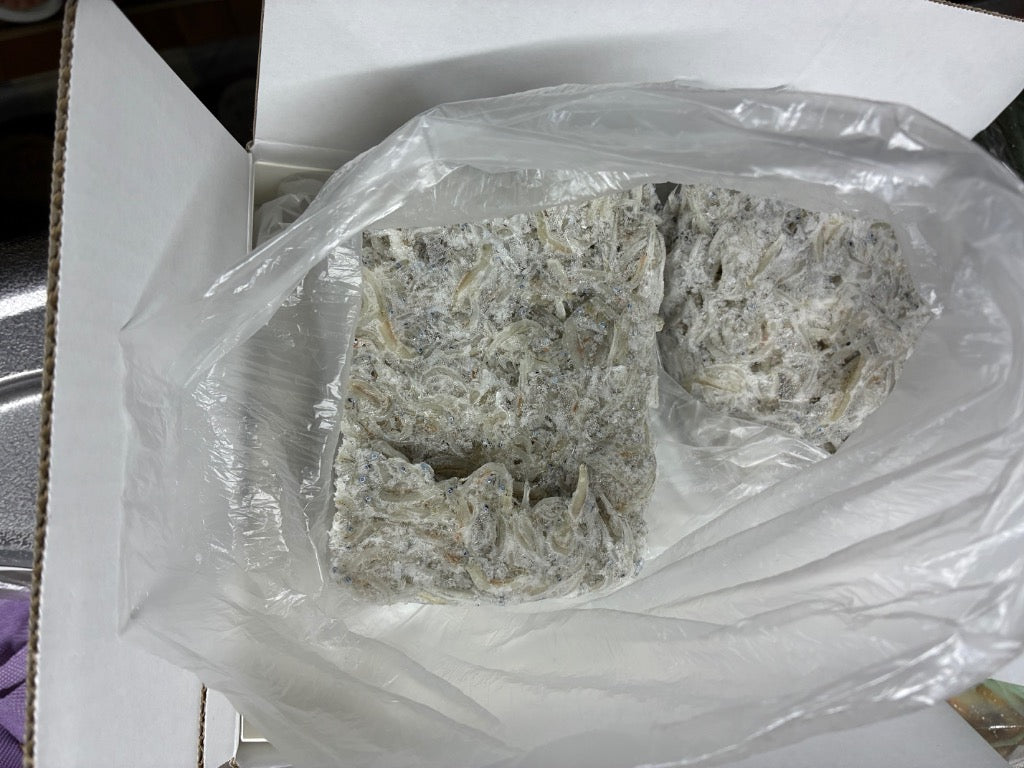ふるさと納税 南知多町 カネ成の釜揚げしらす 2kg(1kg×2箱) 減塩 無添加 無着色 冷凍