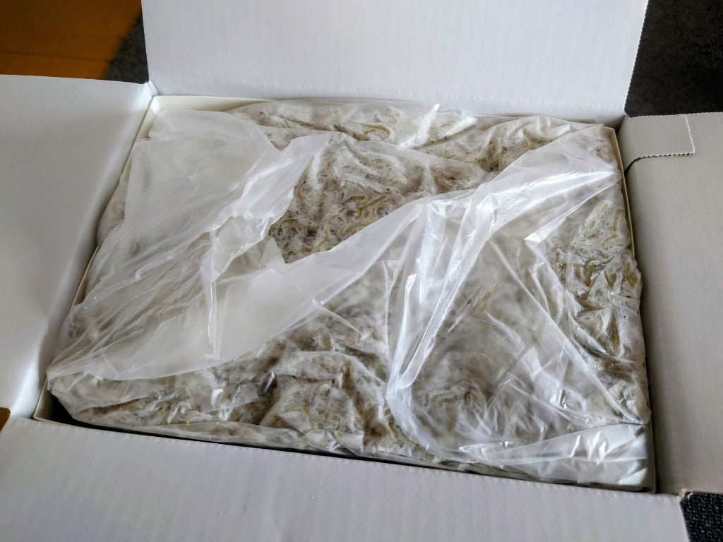 ふるさと納税 南知多町 カネ成の釜揚げしらす 2kg(1kg×2箱) 減塩 無添加 無着色 冷凍