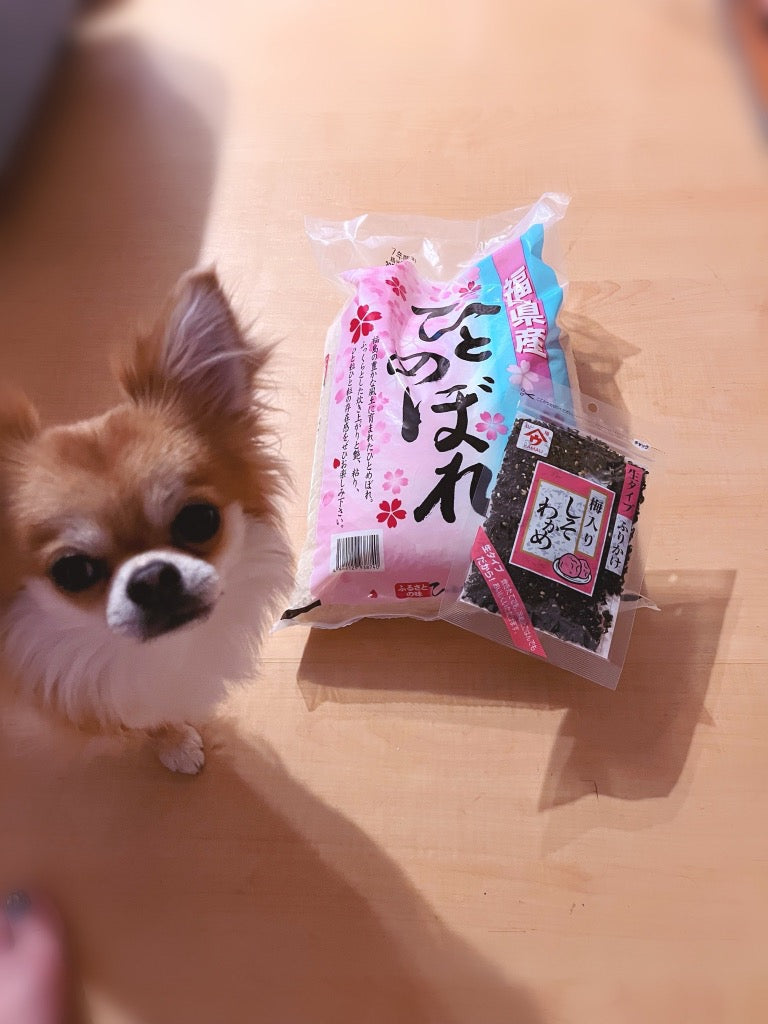 福島県産ひとめぼれ 白米 5kg(5kg×1袋) 令和7年産 送料無料 米 5kg お米 5kg お試し (沖縄・離島 別途送料+1100円)