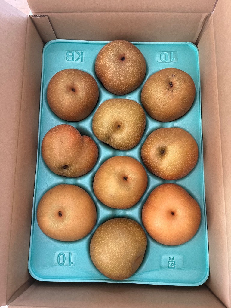 ふるさと納税 三条市 先行受付 和梨 豊水 自家用 5kg  [三条果樹専門家集団] 【010P055】