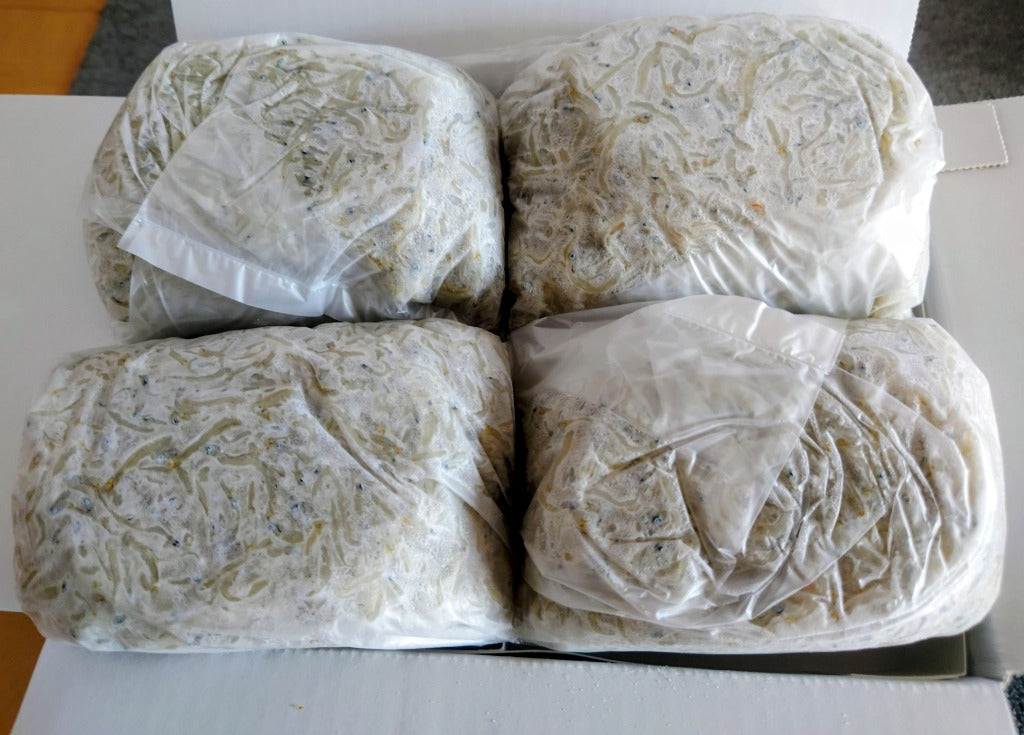 ふるさと納税 南知多町 カネ成の釜揚げしらす 2kg(1kg×2箱) 減塩 無添加 無着色 冷凍