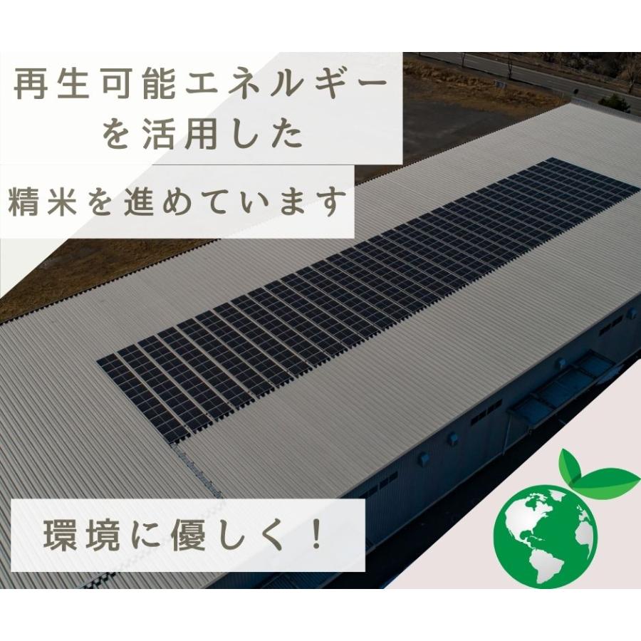 福島県産ひとめぼれ 白米 5kg(5kg×1袋) 令和7年産 送料無料 米 5kg お米 5kg お試し (沖縄・離島 別途送料+1100円)