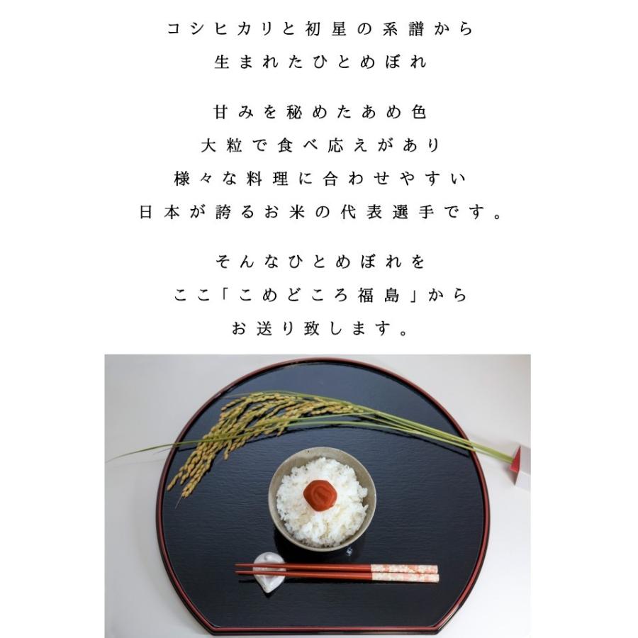 福島県産ひとめぼれ 白米 5kg(5kg×1袋) 令和7年産 送料無料 米 5kg お米 5kg お試し (沖縄・離島 別途送料+1100円)