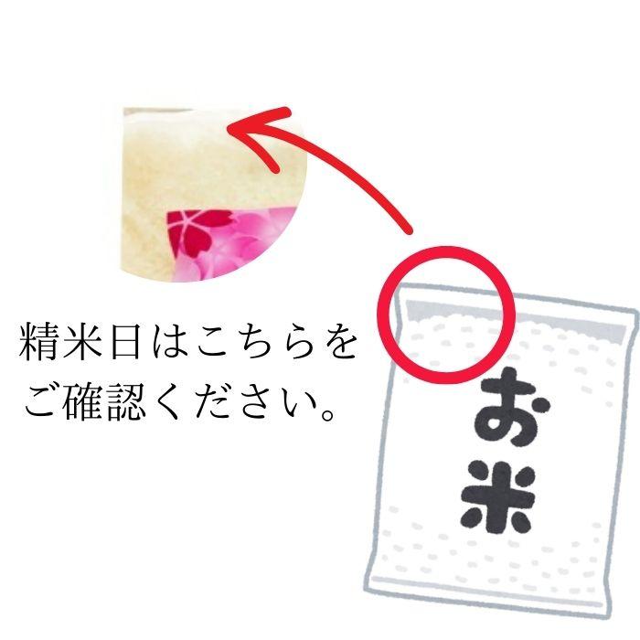 福島県産ひとめぼれ 白米 5kg(5kg×1袋) 令和7年産 送料無料 米 5kg お米 5kg お試し (沖縄・離島 別途送料+1100円)