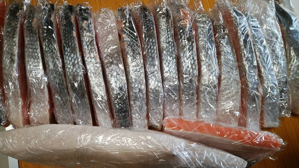 ふるさと納税 気仙沼市 訳あり 鮭 切身 約2kg [宮城東洋 宮城県 気仙沼市 20564991] サーモン