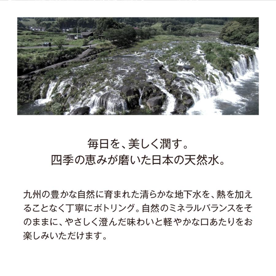 水 ナチュラルミネラルウォーター BIYOUDO シリカ水 500ml×42本 350ml×48本 天然水 国産 軟水 美陽堂 silica water