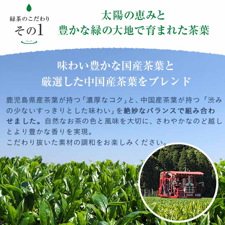 緑茶【 彩茶-あやちゃ- 緑茶 】お茶 500ml×24本 ペットボトル ラベルレス ポイント消化 まとめ買い 最短翌日お届け 日本茶