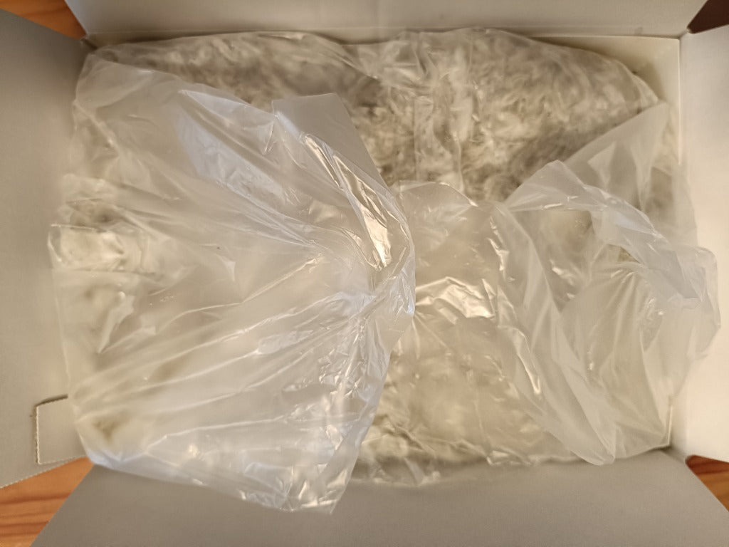 ふるさと納税 南知多町 カネ成の釜揚げしらす 2kg(1kg×2箱) 減塩 無添加 無着色 冷凍