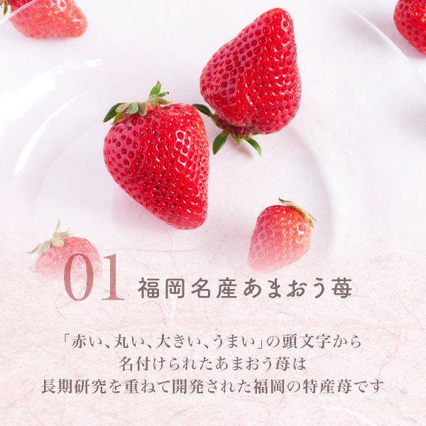 期間限定★15％OFF：~7/26 1:59 | 送料無料 お菓子 お試しセット わらび餅 ｜ 博多風美庵 博多あまおうぷるるん お試しセット 12個入 【5】 メール便 mailbin