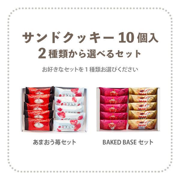 期間限定★15％OFF：~7/26 1:59 | お試しセット 送料無料 お菓子 クッキー ｜ 博多風美庵 選べるクッキー食べ比べセット 10個入 【5】 メール便 mailbin