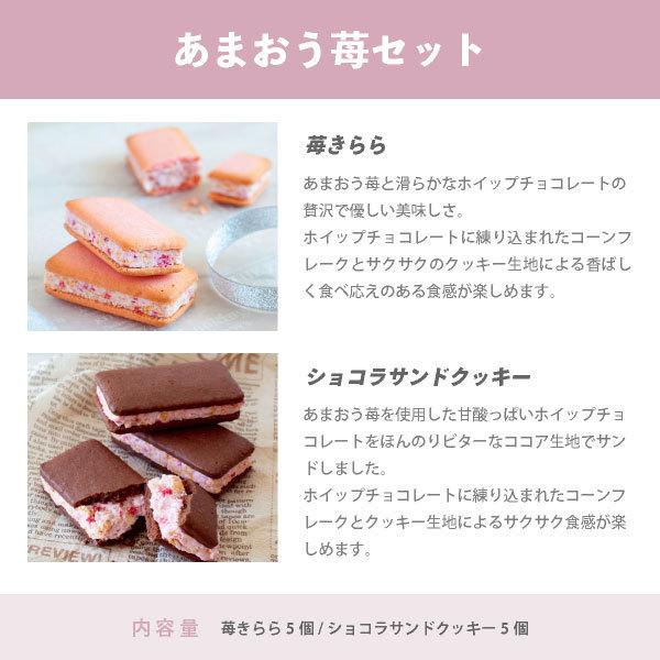 期間限定★15％OFF：~7/26 1:59 | お試しセット 送料無料 お菓子 クッキー ｜ 博多風美庵 選べるクッキー食べ比べセット 10個入 【5】 メール便 mailbin