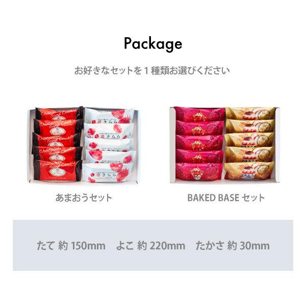 期間限定★15％OFF：~7/26 1:59 | お試しセット 送料無料 お菓子 クッキー ｜ 博多風美庵 選べるクッキー食べ比べセット 10個入 【5】 メール便 mailbin