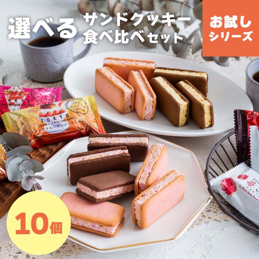 期間限定★15％OFF：~7/26 1:59 | お試しセット 送料無料 お菓子 クッキー ｜ 博多風美庵 選べるクッキー食べ比べセット 10個入 【5】 メール便 mailbin