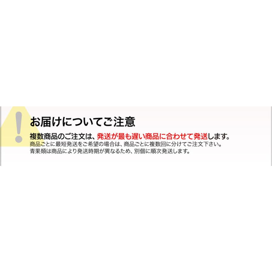 麦茶 お茶 ペットボトル 500ml 48本 ラベルレス ミツウロコ 24本 ×2箱 国産大麦 100％使用 爆買