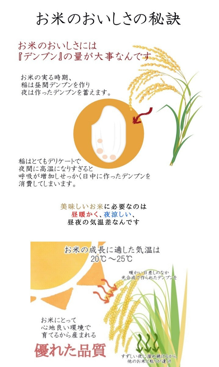 福島県産ひとめぼれ 白米 5kg(5kg×1袋) 令和7年産 送料無料 米 5kg お米 5kg お試し (沖縄・離島 別途送料+1100円)