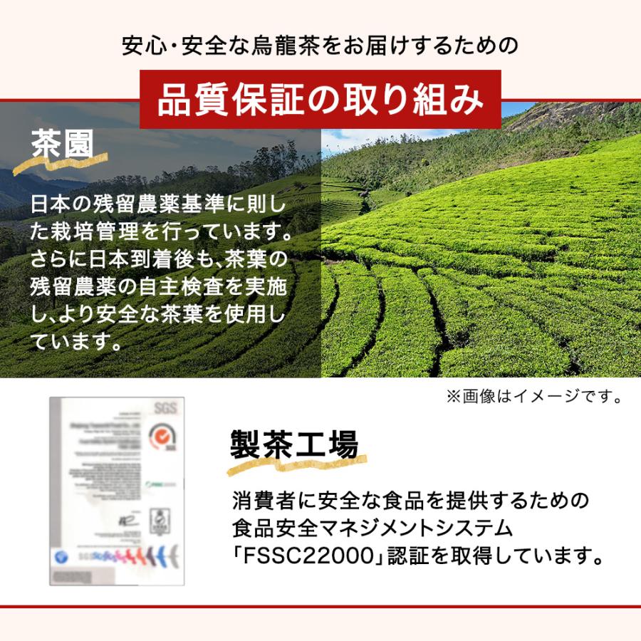 黒烏龍茶 機能性表示食品【 つづけるプラス 黒烏龍茶 】500ml 24本 送料無料 体脂肪 ウーロン茶 ポイント消化 ペットボトル 爆買