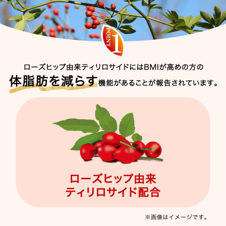黒烏龍茶 機能性表示食品【 つづけるプラス 黒烏龍茶 】500ml 24本 送料無料 体脂肪 ウーロン茶 ポイント消化 ペットボトル 爆買