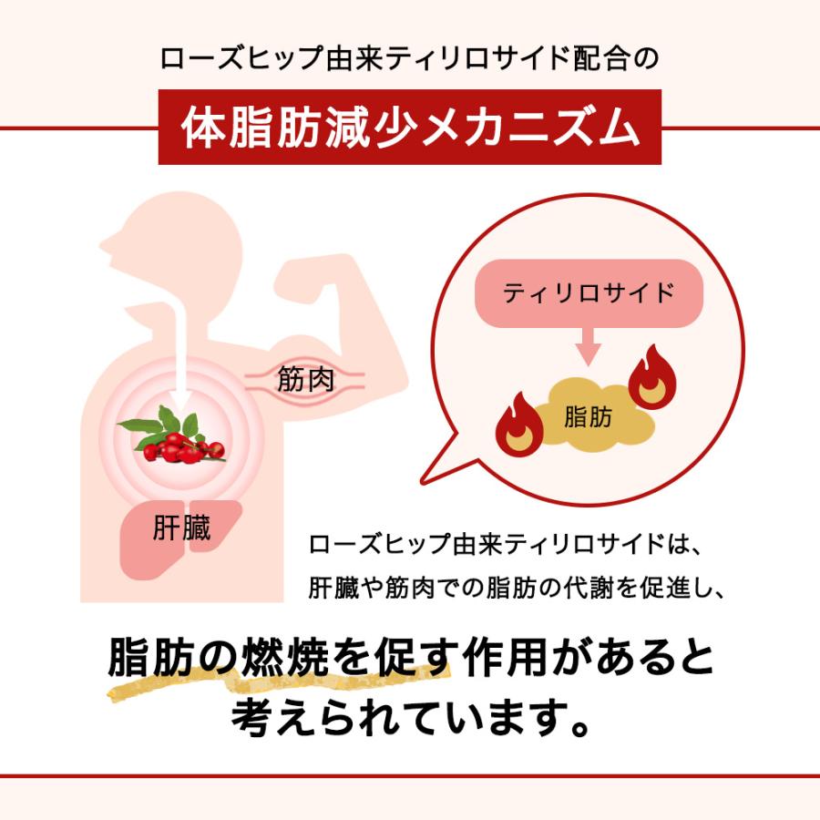 黒烏龍茶 機能性表示食品【 つづけるプラス 黒烏龍茶 】500ml 24本 送料無料 体脂肪 ウーロン茶 ポイント消化 ペットボトル 爆買