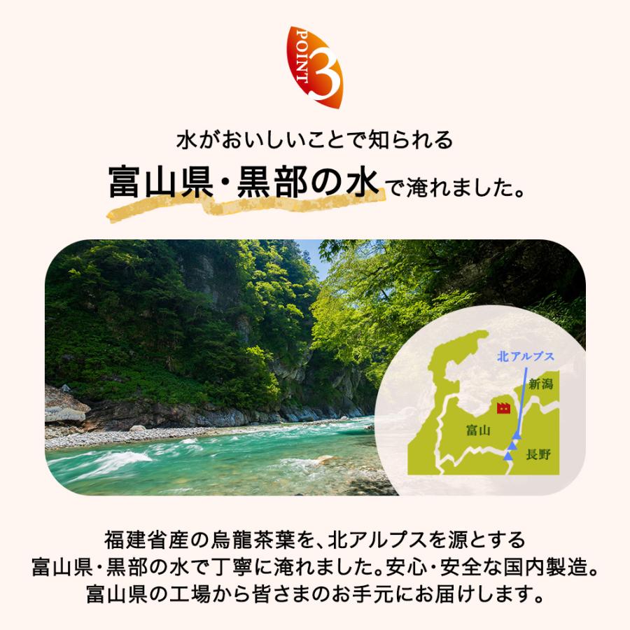黒烏龍茶 機能性表示食品【 つづけるプラス 黒烏龍茶 】500ml 24本 送料無料 体脂肪 ウーロン茶 ポイント消化 ペットボトル 爆買