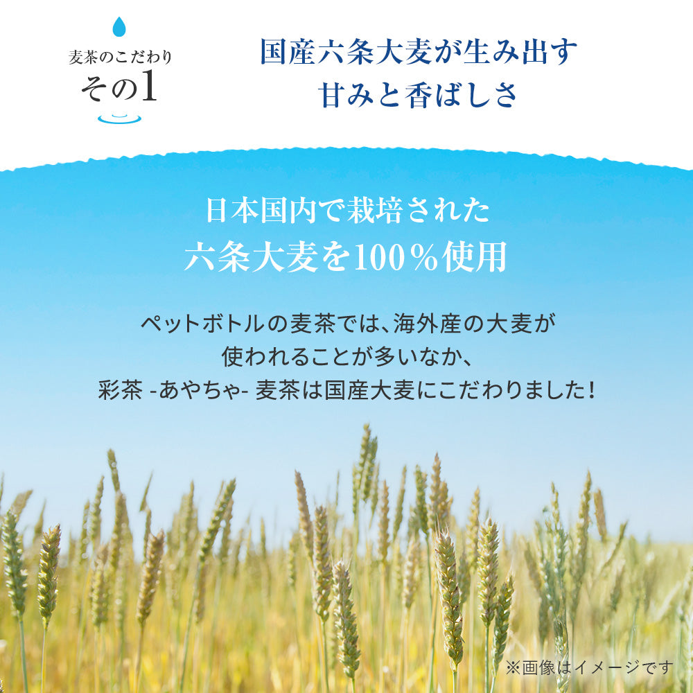 【期間限定150円OFFクーポン】麦茶 【 彩茶-あやちゃ- 麦茶 】 500ml×24本 ラベルレス ノンカフェイン ライフドリンクカンパニー むぎ茶 ポイント消化 爆買