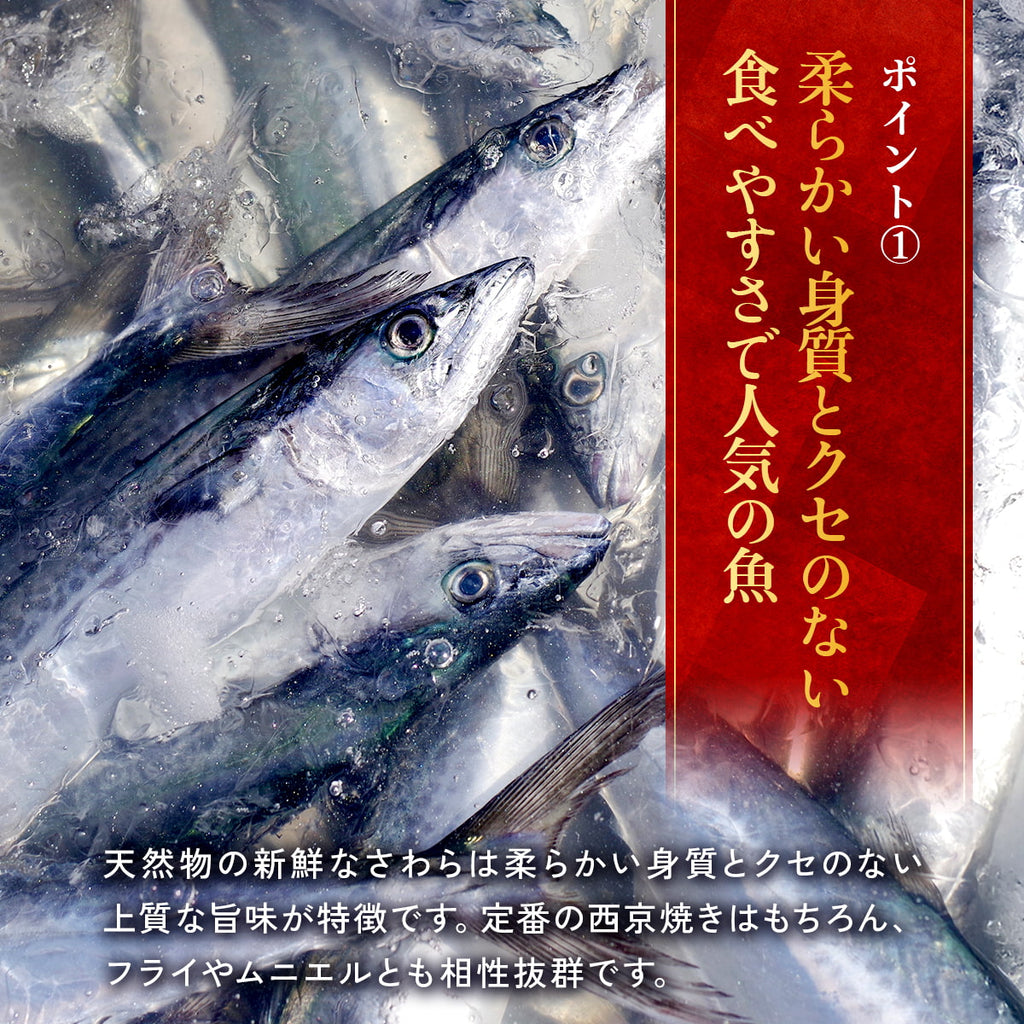天然 無塩 骨取 さわら 切身 1kg 食べ放題 (40g×25) 無添加 骨取り 切り身 サワラ 鰆 弁当 保育園 離乳食 白身 白身魚 爆買