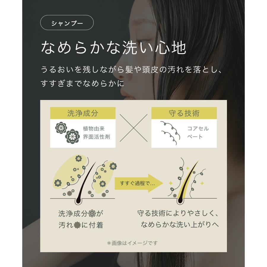 ボタニストシャンプー オイルシャンプートリートメント シャンプー BOTANIST SANTAL 心浸美容シャンプー ボトル本体 シャンプーメンズ レディース ヘアケア