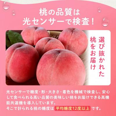 ふるさと納税 山梨市 2026年発送 桃 約2kg 5〜8玉 朝もぎ直送! 旬の完熟『桃』選び抜かれた桃