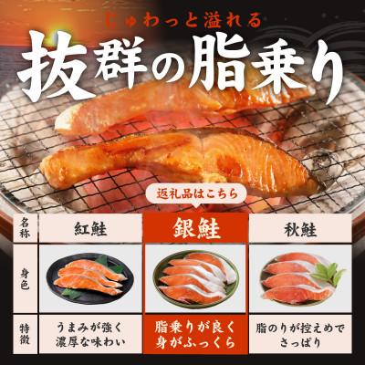 泉佐野市 銀鮭切身 2kg(約18切れ)訳あり 規格外 サーモン kgp0009a