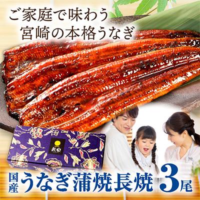 ふるさと納税 宮崎市 国産　うなぎ蒲焼3尾(計510g)