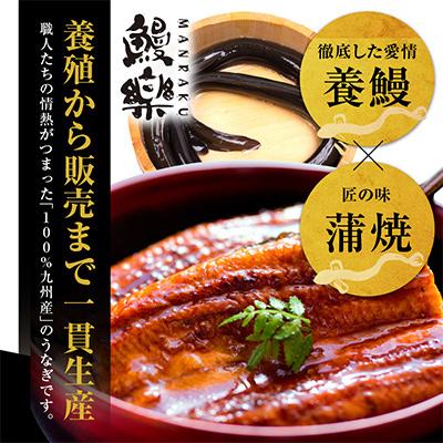 ふるさと納税 宮崎市 国産　うなぎ蒲焼3尾(計510g)