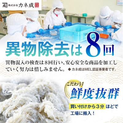 ふるさと納税 南知多町 カネ成の釜揚げしらす 2kg(1kg×2箱) 減塩 無添加 無着色 冷凍