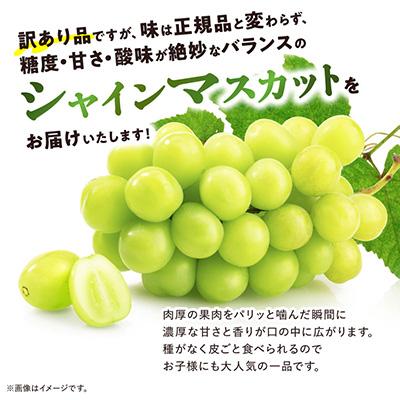 山梨市 【訳あり】 池田青果のシャインマスカット2房〜3房　1kg ふるさと納税