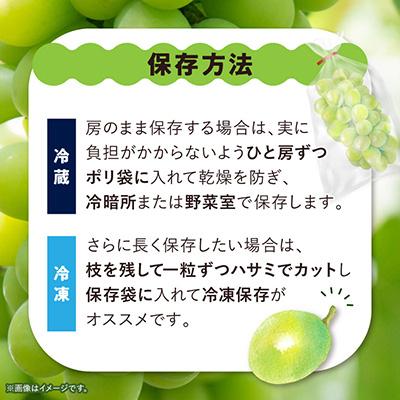 山梨市 【訳あり】 池田青果のシャインマスカット2房〜3房　1kg ふるさと納税