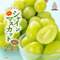 山梨市 【訳あり】 池田青果のシャインマスカット2房〜3房　1kg ふるさと納税