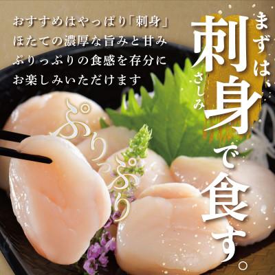 ふるさと納税 別海町 北海道産 ほたて貝柱 500g 刺身用 お料理に便利 小玉 別海町ふるさと納税 冷凍帆立貝柱玉冷