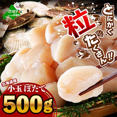 ふるさと納税 別海町 北海道産 ほたて貝柱 500g 刺身用 お料理に便利 小玉 別海町ふるさと納税 冷凍帆立貝柱玉冷