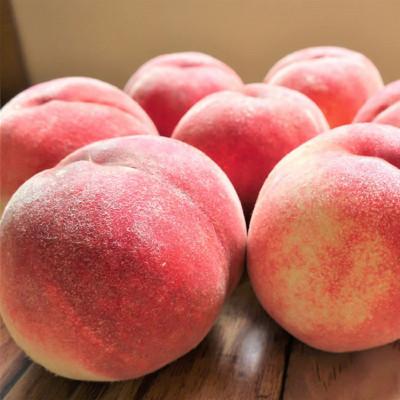 中山町 山形県産白桃 約2kg(品種おまかせ) 特秀品　柔らかくなる桃【令和8年産】