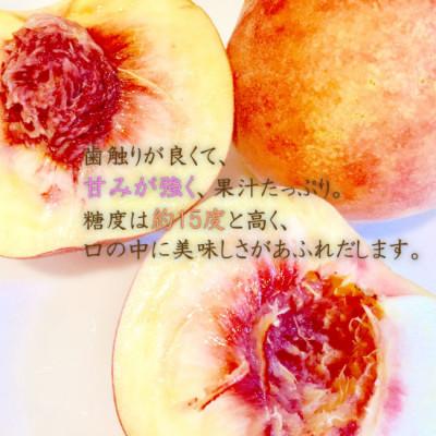 中山町 山形県産白桃 約2kg(品種おまかせ) 特秀品　柔らかくなる桃【令和8年産】