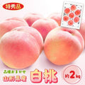 中山町 山形県産白桃 約2kg(品種おまかせ) 特秀品　柔らかくなる桃【令和8年産】