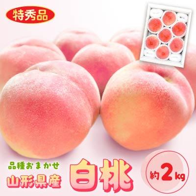 中山町 山形県産白桃 約2kg(品種おまかせ) 特秀品　柔らかくなる桃【令和8年産】