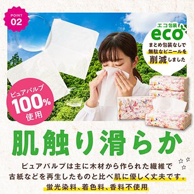 ふるさと納税 泉佐野市 ソフトパックティッシュ 60パック×400枚 ピュアパルプ100% 010B1754