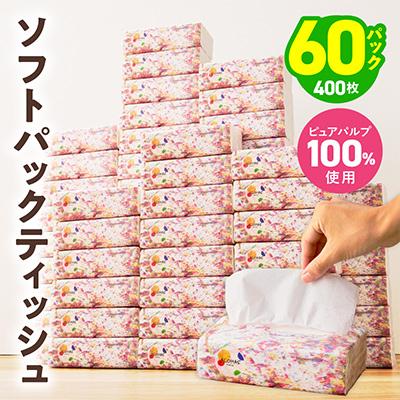 ふるさと納税 泉佐野市 ソフトパックティッシュ 60パック×400枚 ピュアパルプ100% 010B1754