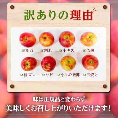 高山村 【2026年先行受付】日本で最も美しい村ー信州高山村ー　旬のりんご約5kg入り【訳あり品】